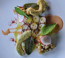 Octopus