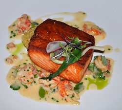 Salmon