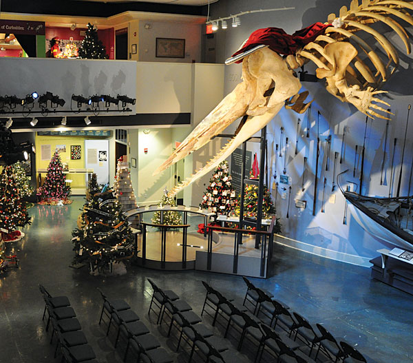 Fest of Trees
